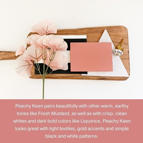 Pintura estilo gis – para muebles, decoración del hogar, manualidades, ecológica, todo en uno, no necesita cera – Colores de colección Lustrum, Peachy Keen, quart (32 oz), 1 - Image 9