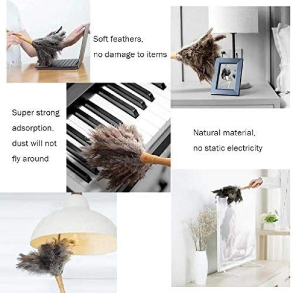 Plumero de plumas de avestruz, plumero esponjoso natural genuino de avestruz y ecológico, reutilizable, mango largo, plumero de plumas de avestruz, color negro, longitud 16 pulgadas, 1 paquete - Image 8