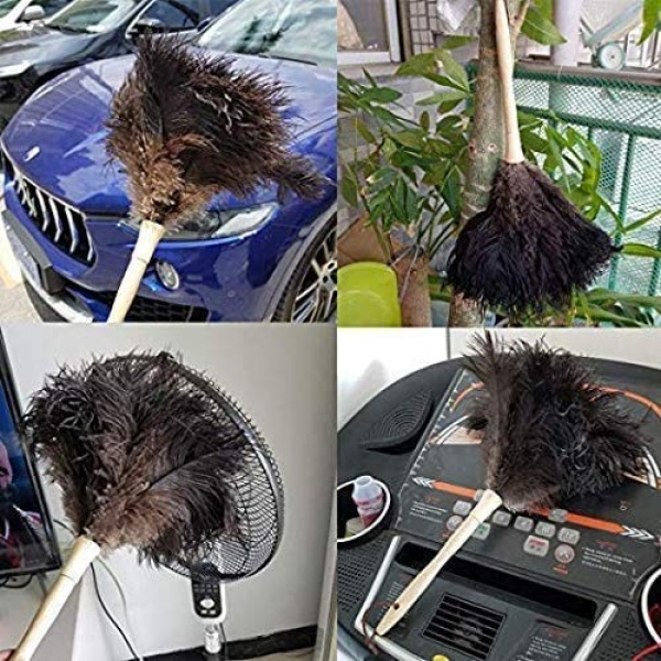 Plumero de plumas de avestruz, plumero esponjoso natural genuino de avestruz y ecológico, reutilizable, mango largo, plumero de plumas de avestruz, color negro, longitud 16 pulgadas, 1 paquete - Image 9