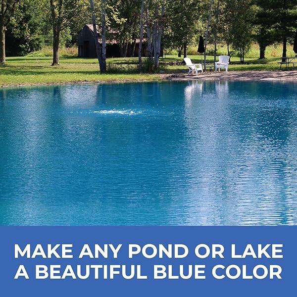 PondValue Tinte para estanque azul - Image 7