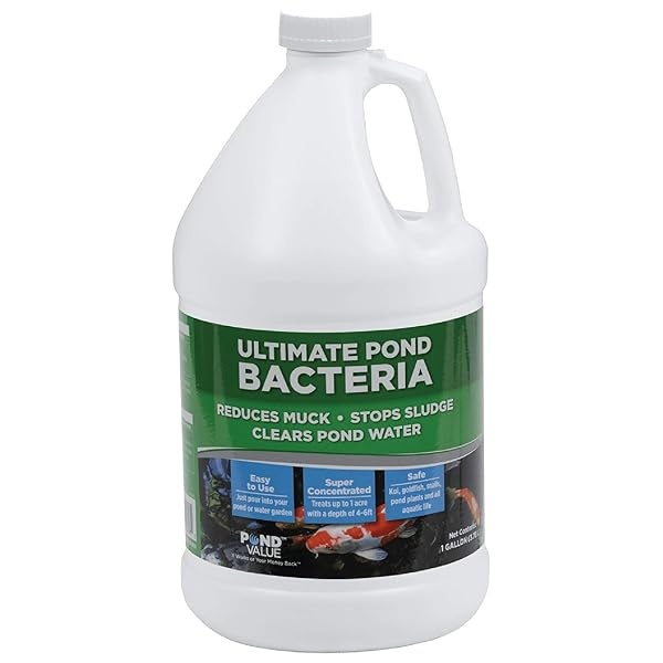 PondValue Ultimate Pond Bacterias