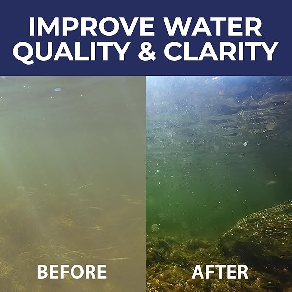 PondValue Ultimate Pond Bacterias - Image 9