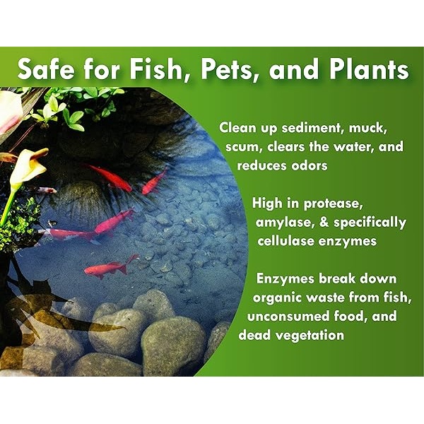Pondworx Agua transparente – mejora la claridad y calidad del agua, seguro para peces, mascotas y plantas – 1 galón - Image 4