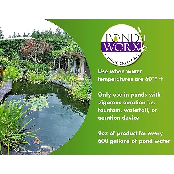Pondworx Agua transparente – mejora la claridad y calidad del agua, seguro para peces, mascotas y plantas – 1 galón - Image 6