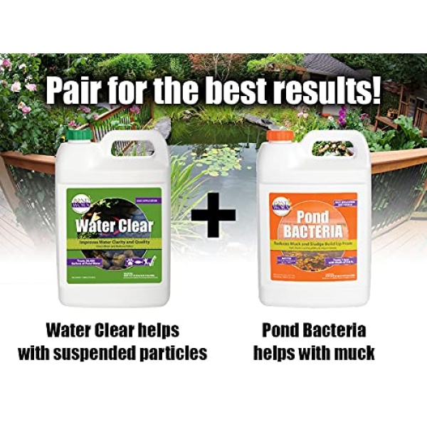 Pondworx Agua transparente – mejora la claridad y calidad del agua, seguro para peces, mascotas y plantas – 1 galón - Image 7