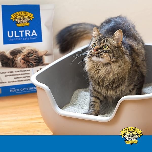 Precious Cat Ultra Premium Clumping Cat Litter, 40 pound bag - Image 6