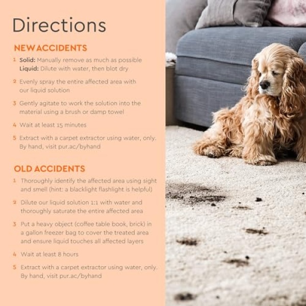 Puracy Eliminador de manchas y olores de mascotas – Eliminador de olores de mascotas para el hogar – Fórmula de segunda generación sin enjuague – Eliminador de olores de orina profesional alimentado por plantas – Eliminador de manchas de mascotas seguro y eficaz - Image 5