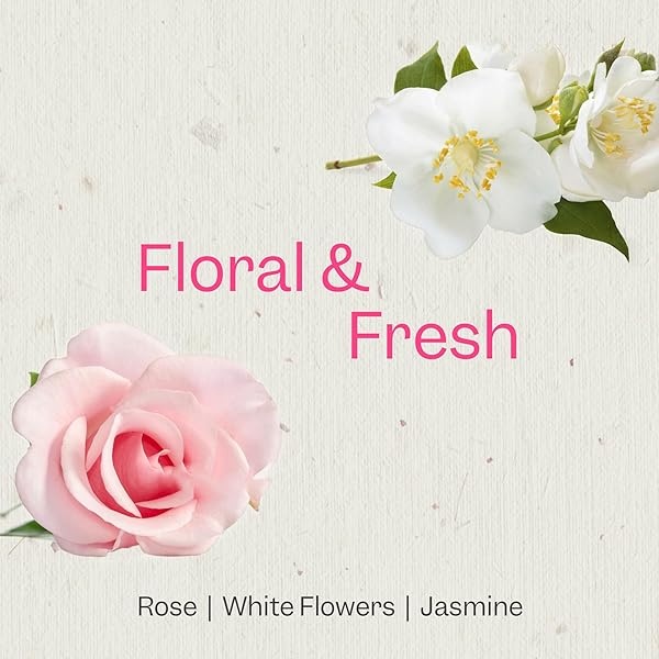 RENPURE Acondicionador hidratante de agua de rosas a base de plantas para cabello seco, sin sulfatos, sin parabenos, sin crueldad y sin color, naturalmente hidratante y refrescante acondicionador de agua de rosas para mujeres - Image 4
