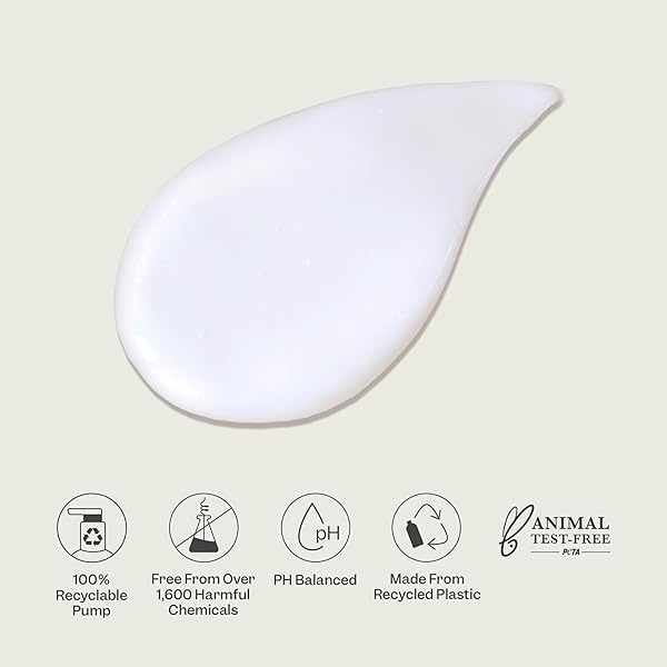 RENPURE Acondicionador hidratante de agua de rosas a base de plantas para cabello seco, sin sulfatos, sin parabenos, sin crueldad y sin color, naturalmente hidratante y refrescante acondicionador de agua de rosas para mujeres - Image 6