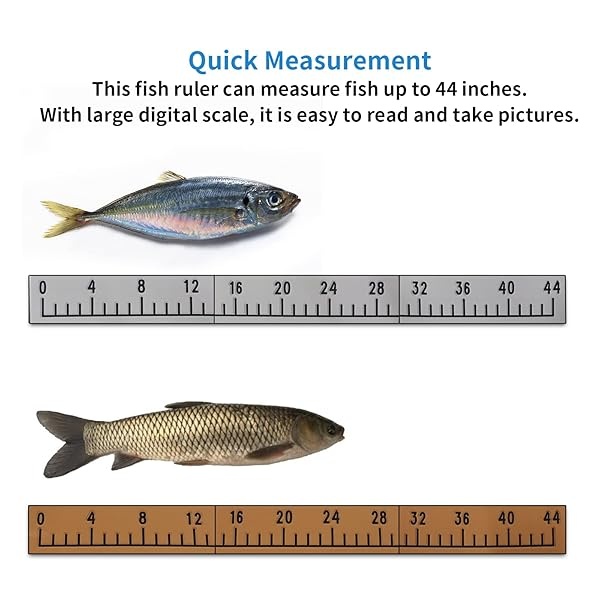 Regla de espuma EVA con fuerte adhesivo | Herramienta de medición de pesca segmentada de 44 pulgadas | Accesorio de medición de pesca | para barcos de pesca de mar, enfriadores de yates y kayaks (gris claro sobre negro) - Image 4