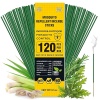 Repelente de mosquitos para patio al aire última intervensión, 120 unidades, aceite de citronela, varillas de incienso para interior y hogar, seguro para mascotas, barrera natural a base de insectos a