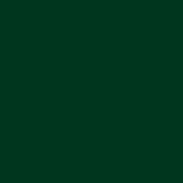 Rust-Oleum 7738730 - Pincel de pintura esmaltada, color verde - Image 3
