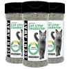 SCENT AWAY - Desodorizador de arena para gatos sin fragancia con carbón activo (paquete de 3)