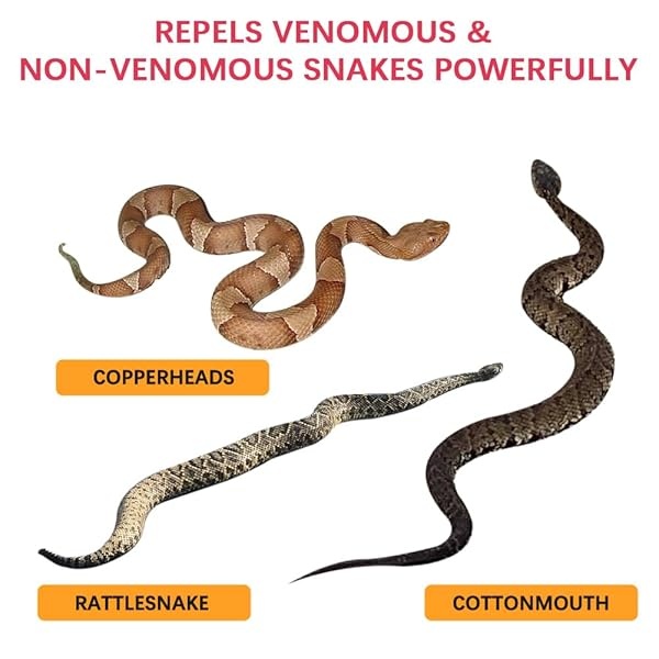 SELPONT Repellent for Yard Powerful, Keep Snake Away Repellent for Outdoors, Snake Repellent for Outdoors Pet Safe, Outdoor Snake Repellant Home, Yard Snake Out Repellant Effectively- 10 Pack - Image 4