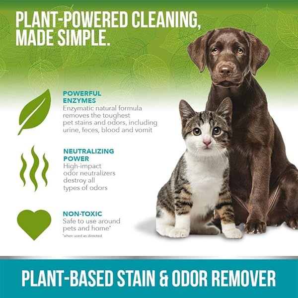 Simple Solution - Eliminador de Manchas y olores a Base de Plantas | Fórmula enzimática Natural y probacteriana Hecha con Ingredientes Naturales y de Calidad a Base de Plantas | 32 oz - Image 4