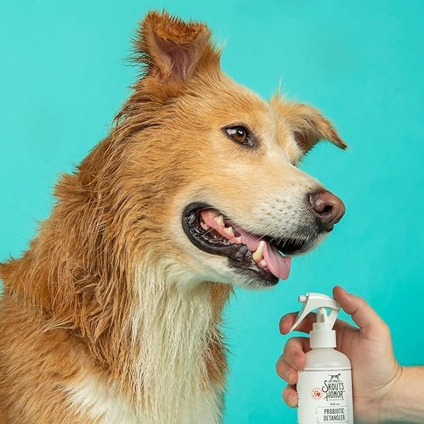 Skout's Honor: Desenredador probiótico – 8 fl oz – Hidrata y desodoriza el pelo, soporta las defensas naturales de mascotas, pH equilibrado y libre de sulfatos con aceite de aguacate - Image 9