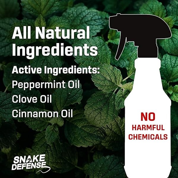 Snake Defense Repelente de serpientes naturales, eficaz y seguro, pulverizador de un galón con pulverizador remoto para una fácil aplicación | para todo tipo de serpientes | no venenosas y venenosas… - Image 4