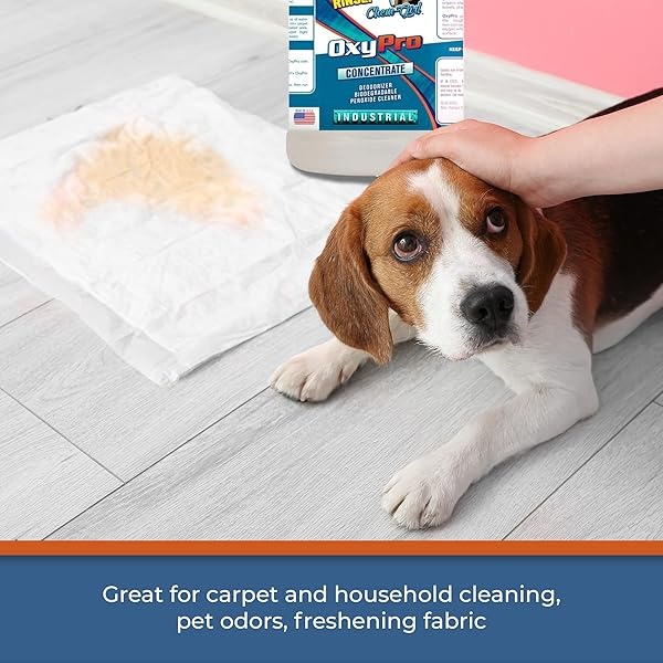Spray de limpieza de superficies de peróxido concentrado + removedor de manchas y manchas | sin cloro y seguro de color – alfombras, tapicería, lavandería, lechada, áreas de mascotas, agua dura, óxido + más de 1 galón - Image 4