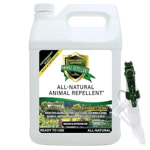 Spray repelente de animales y roedores de armadura natural. Repele zorrillos, mapaches, ratas, ratones, ciervos roedores y critters. Repelente y disuasivo en potente fórmula de menta – 128 FL. OZ. Galón listo para usar