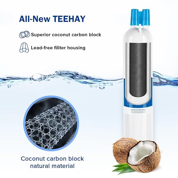 TEEHAY 9083 (3 Pack) - Image 4