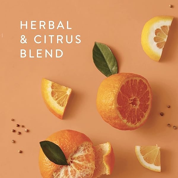 Thymes Aceite difusor de varillas - cilantro de mandarina - 7.75 onzas líquidas - Image 3