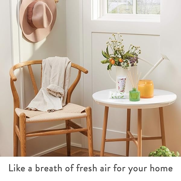 Thymes Linen Spray – 9 onzas líquidas – cilantro mandarín - Image 6