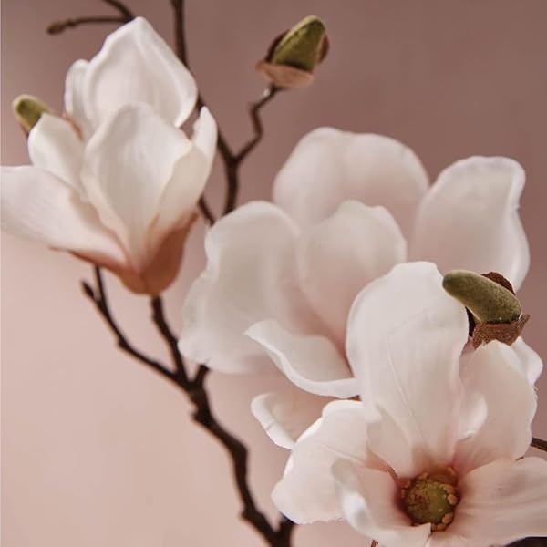 Thymes Spray de lino, 9 onzas líquidas, sauce Magnolia - Image 3