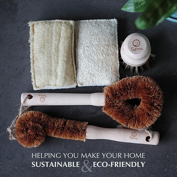 Tierra Juego de brochas de madera ecológicas y esponjas de limpieza – 5 piezas – 100% biodegradable y sostenible - Image 3