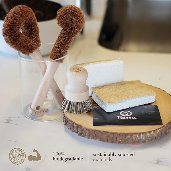 Tierra Juego de brochas de madera ecológicas y esponjas de limpieza – 5 piezas – 100% biodegradable y sostenible - Image 8