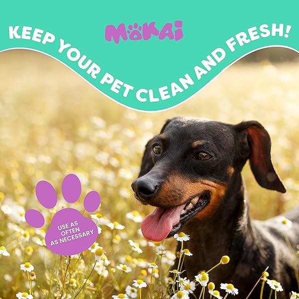 Toallitas faciales ZPAW para manchas de ojos y lágrimas para perros y gatos, toallitas extra suaves con fórmula suave sin fragancia que elimina la descarga de ojos y reduce las manchas de lágrima y saliva (70 toallitas) - Image 5