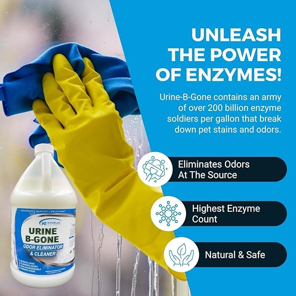 URINE-B-GONE | Eliminador profesional de olores enzimáticos de orina | Cada botella contiene más de 200 mil millones de enzimas | Fórmula concentrada | Elimina completamente - Image 6