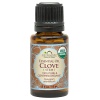 US Organic 100% Pure Clove Stem Essential Oil - USDA Certified Organic, Steam Distilled (15 ml)