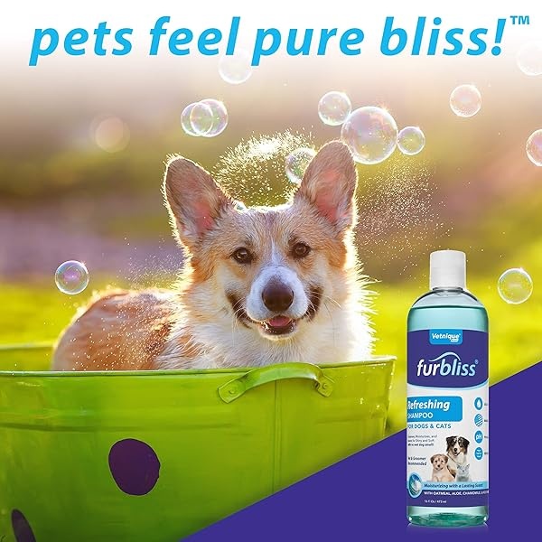 VETNIQUE LABS Furbliss Champú para perros con aceites esenciales, no deja olor a perro mojado, limpia y desodorizante abrigo, sin rasgaduras olor refrescante aroma (16 oz) - Image 7
