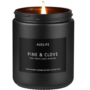 Velas perfumadas para hombres | Vela perfumada de pino y clavo - Velas para hombres, velas perfumadas para el hogar, regalos de velas para él/amigo, vela de aromaterapia en tarro negro