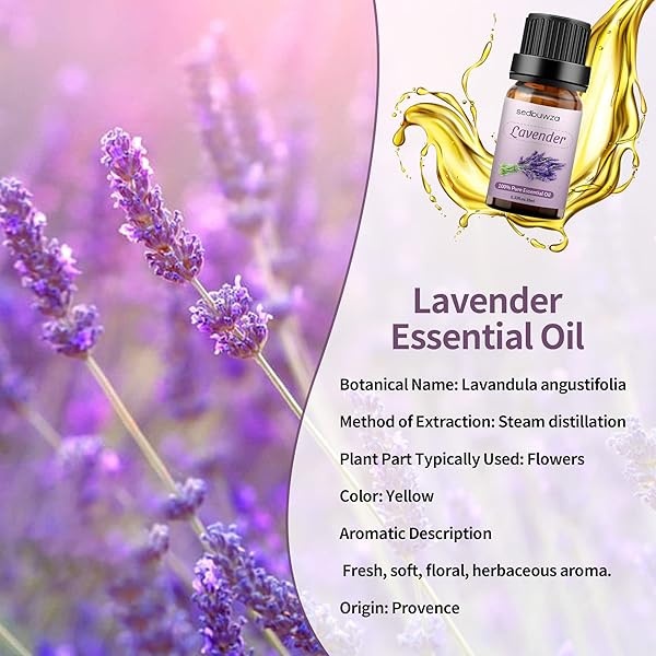 Juego de aceite esencial de jazmín y lavanda 100% puro para difusor, aceite esencial de jazmín para hacer velas, jazmín orgánico + aceites de lavanda para humidificador, aceite de lavanda puro para hacer jabón - Image 4