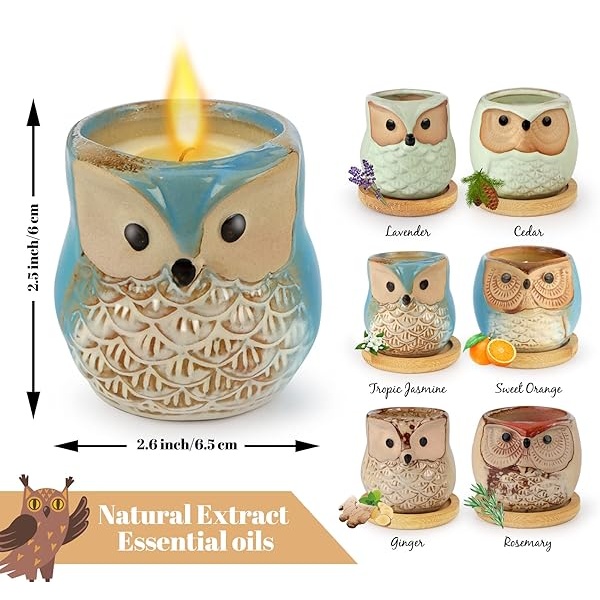 Kinforse Juego de velas perfumadas para mujeres, regalos de búho para mujeres, paquete de 6 velas de aromaterapia de búho, regalo a granel para cumpleaños, madre, Acción de Gracias - Image 3