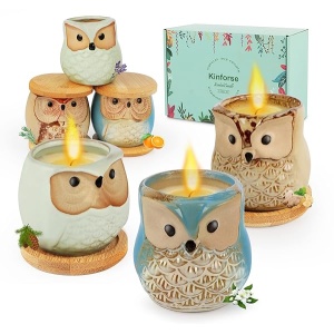 Kinforse Juego de velas perfumadas para mujeres, regalos de búho para mujeres, paquete de 6 velas de aromaterapia de búho, regalo a granel para cumpleaños, madre, Acción de Gracias