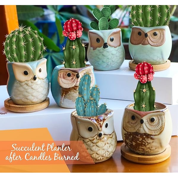 Kinforse Juego de velas perfumadas para mujeres, regalos de búho para mujeres, paquete de 6 velas de aromaterapia de búho, regalo a granel para cumpleaños, madre, Acción de Gracias - Image 8